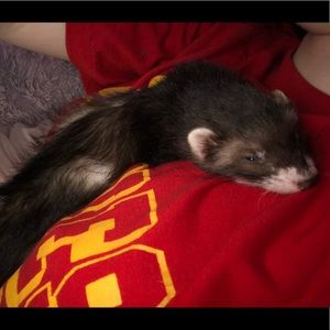 Meet your Posher, Katelyn